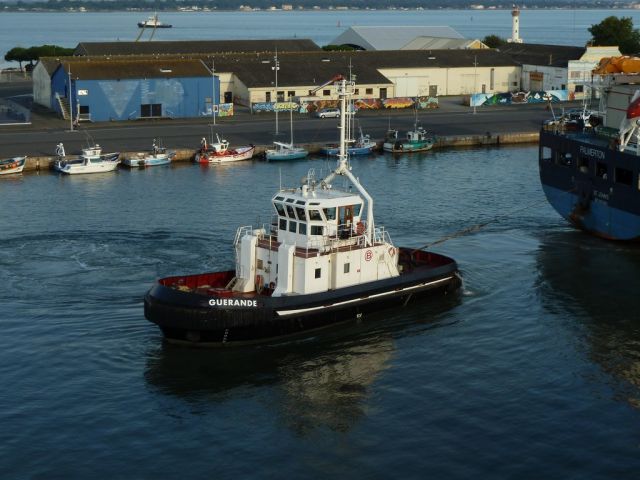 Guerande - saint nazaire - 31 08 2011 (01).JPG